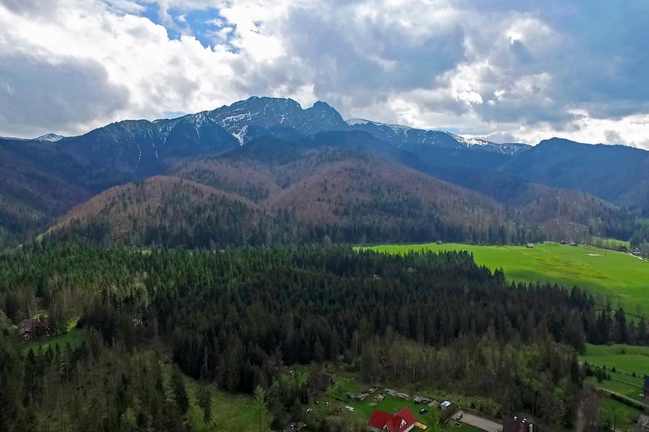 Hotel Nalecz City Center Zakopane Exterior foto